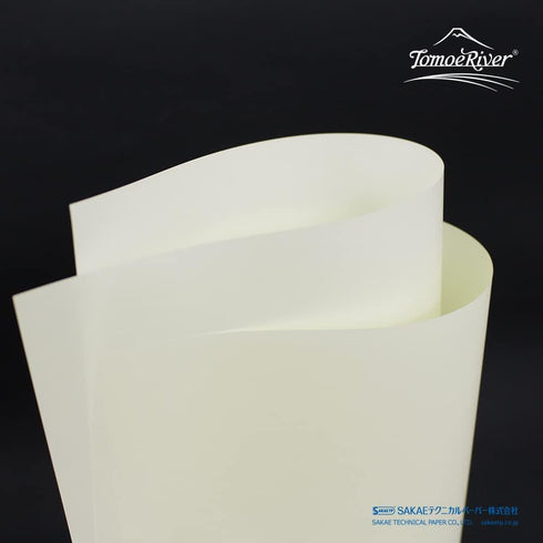 Tomoe River Paper - Loose leaf - 100 Sheets - A4 - Cream