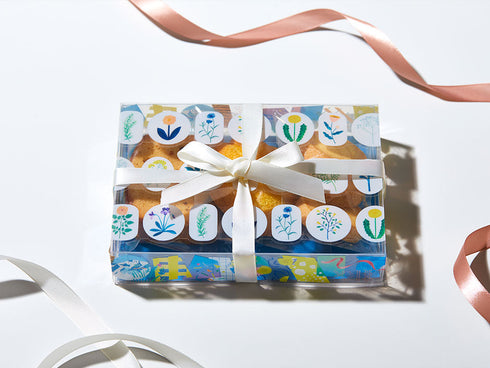 King Jim SODA Clear Tape - Petal