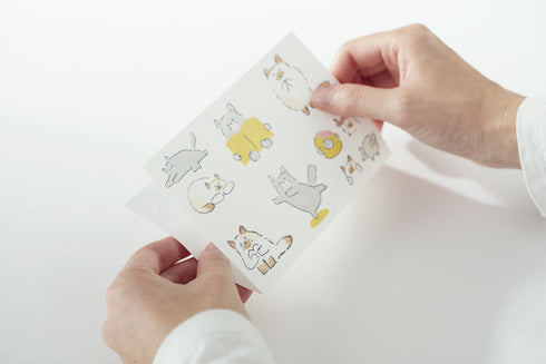 King Jim - Large Size Sticker