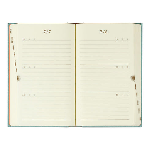 Midori 3 Years Diary - Door Design - Light Blue