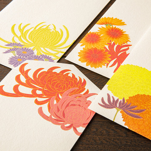 Midori Envelope - Four Patterns Autumn Chrysanthemum