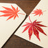 Midori Envelope - Foil-stamping Maple leaves Red