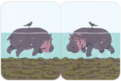 King Jim - Two Forked Sticky Note - Hippopotamus