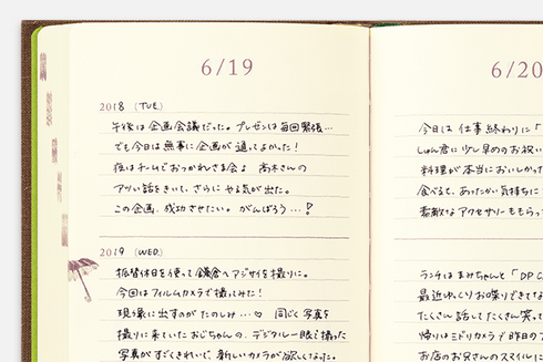 Midori 3 Years Diary - Door Design - Brown