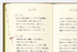 Midori 3 Years Diary - Door Design - Brown